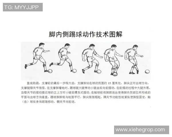 足球中DMF位置的职责与战术分析及其在球队中的重要性